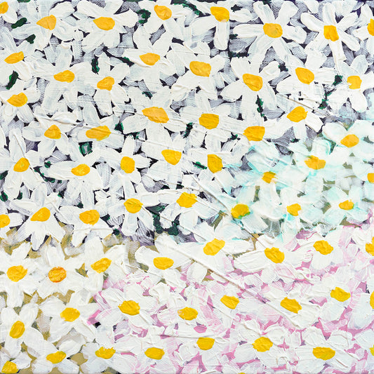 Daisy - Limited Edition Print